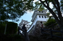 見上げてみた