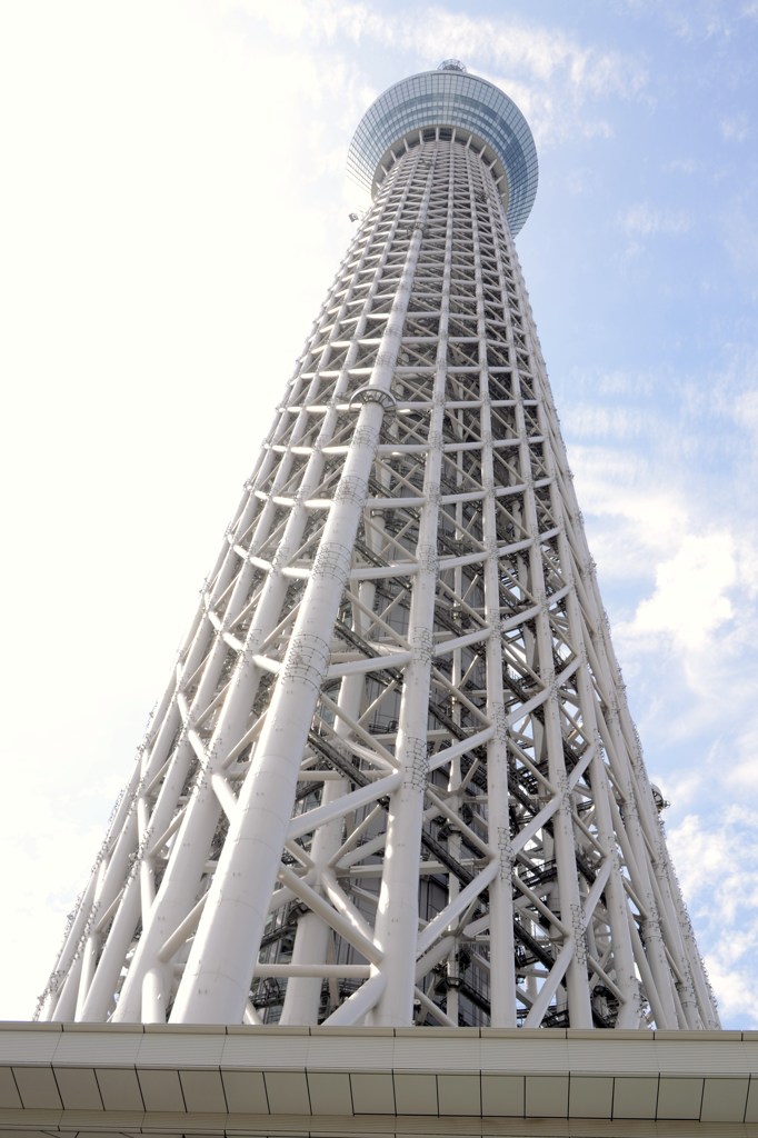 見上げてみた