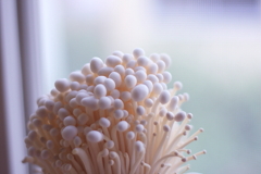 我が家に来た近未来