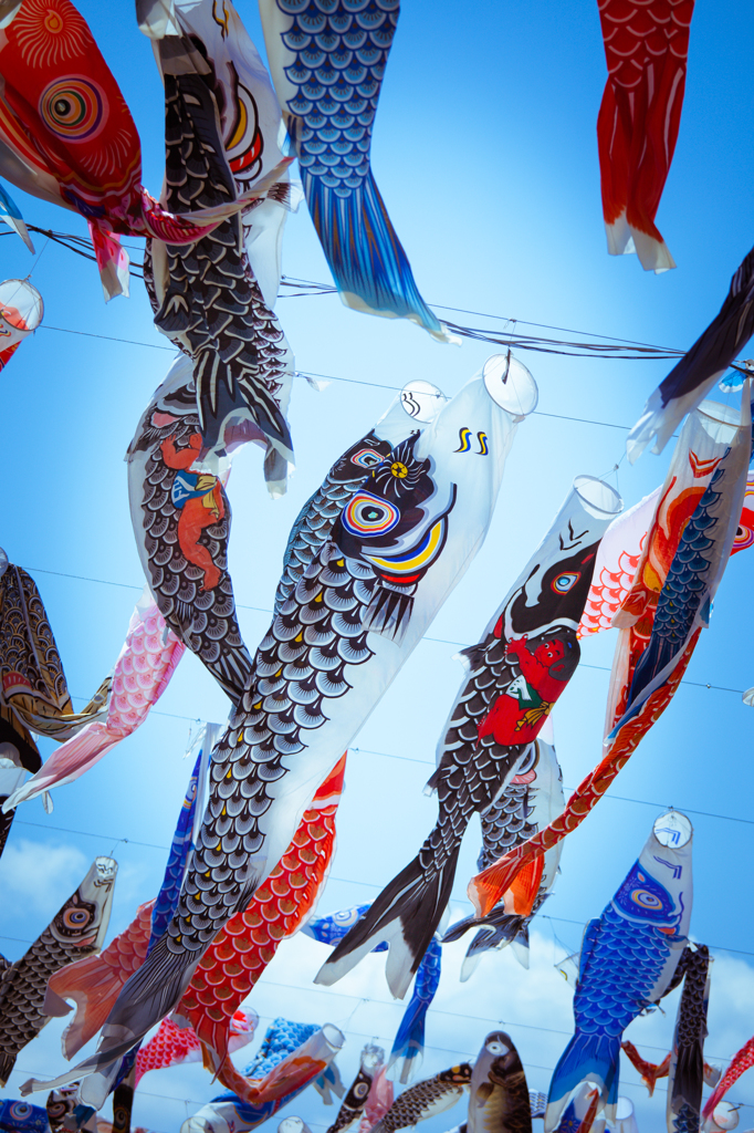 魚群