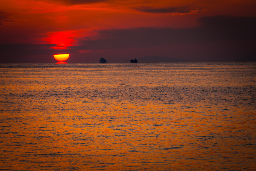 海に滴る太陽