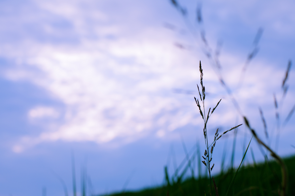 夕暮れが迫る、その前に。