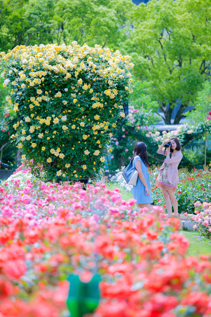 ふたりの花園