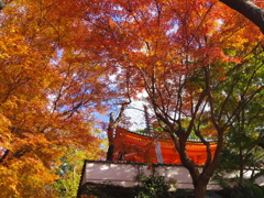 紅葉の紀三井寺