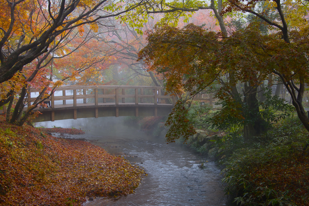 由布院　金鱗湖