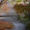 由布院　金鱗湖