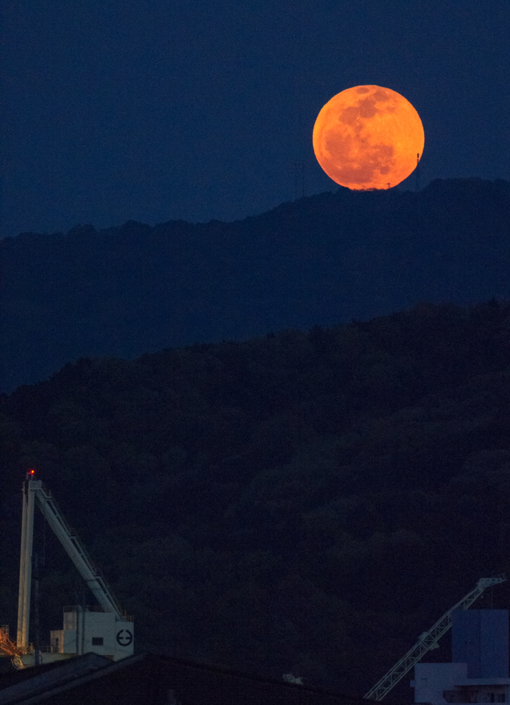 RED MOON RISING