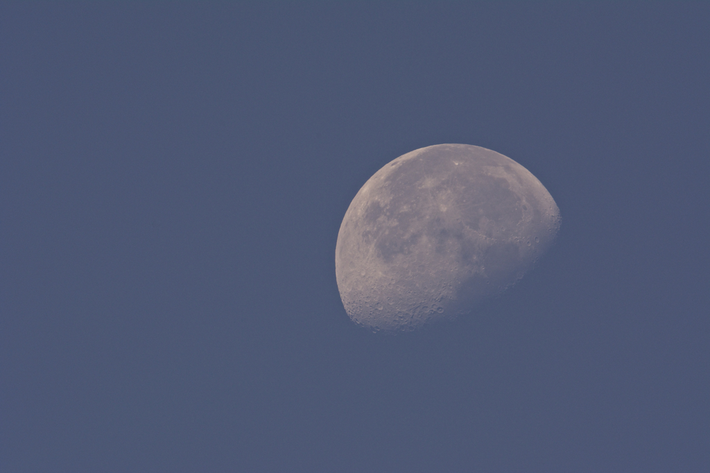 MORNING MOON
