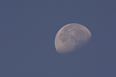 MORNING MOON