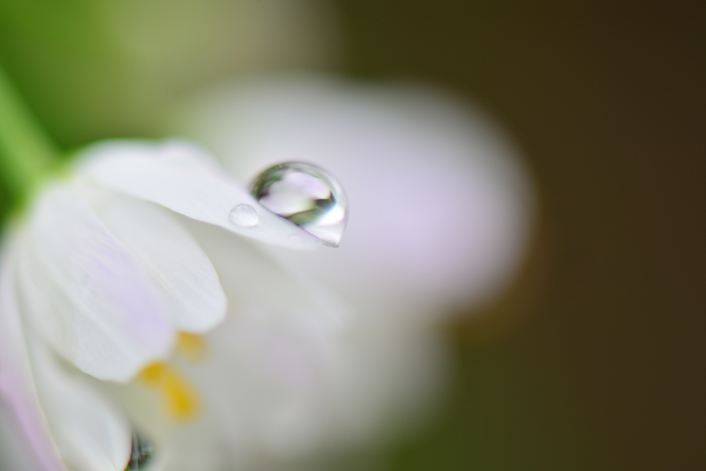 水滴