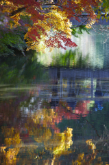 金鱗湖の秋