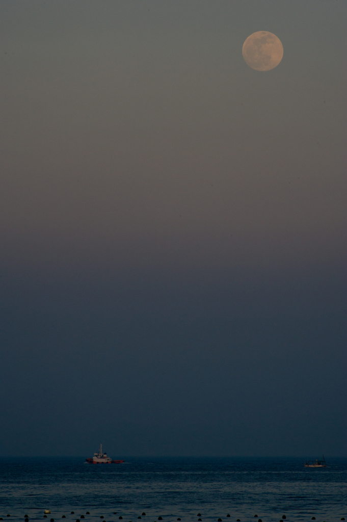 Bad Moon Rising