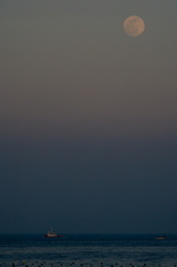 Bad Moon Rising