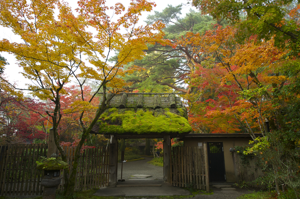 朝もやの亀の井別荘