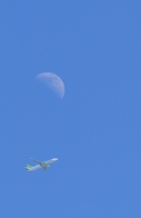 Fly me to the moon