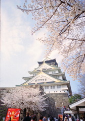 大阪・春の陣