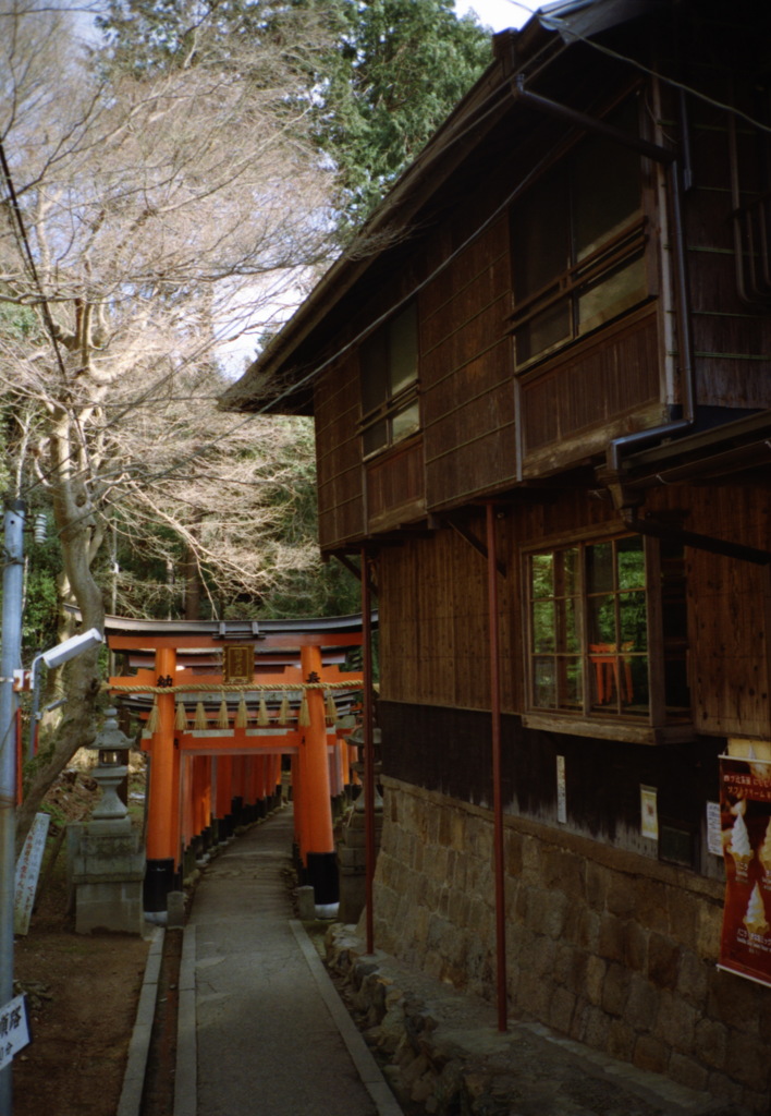 家と鳥居