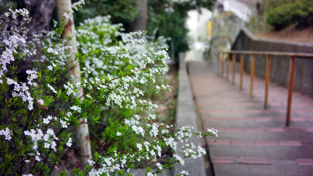 暖かい春