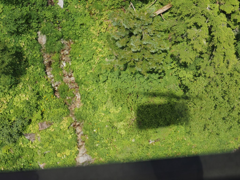これに乗っています。