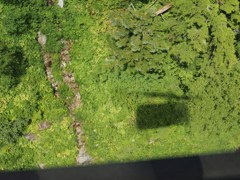 これに乗っています。