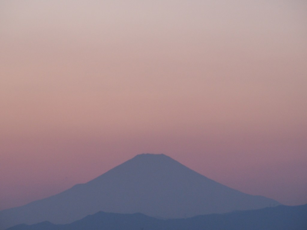 モモイロ