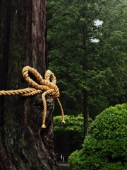 結