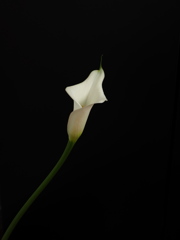 空虚