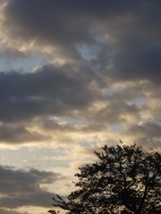 空