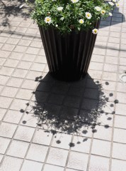 白と黒