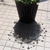 白と黒