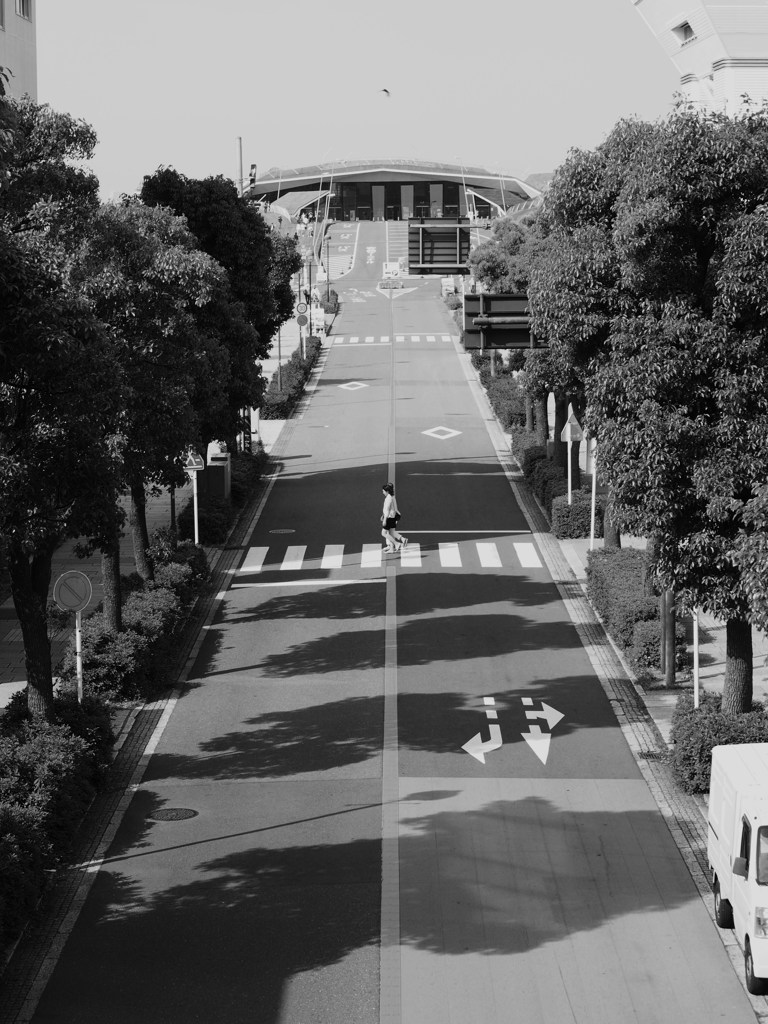 なかなか見られない光景