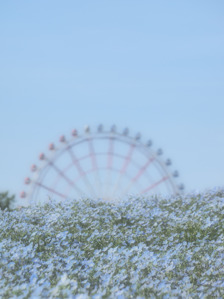 ゆめのなか