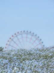 ゆめのなか