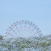 ゆめのなか