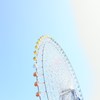 見上げる