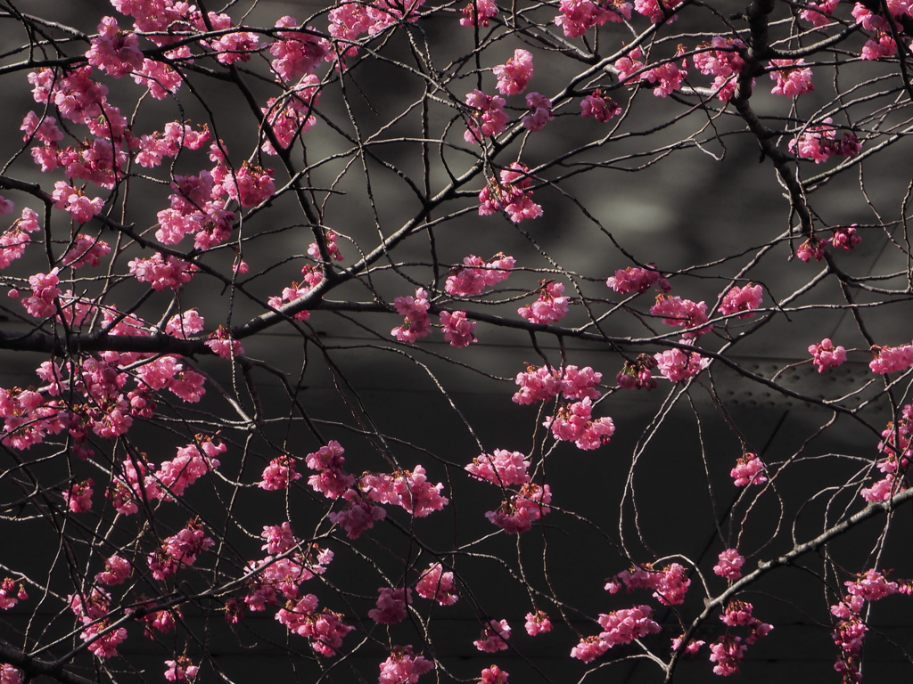 花模様