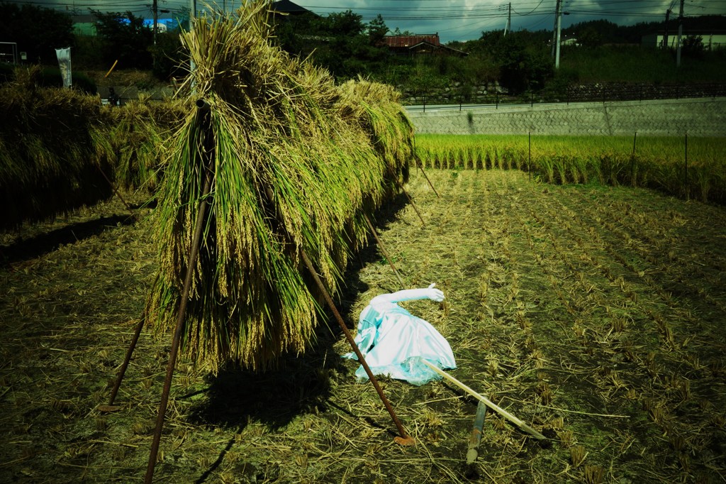 力尽きる