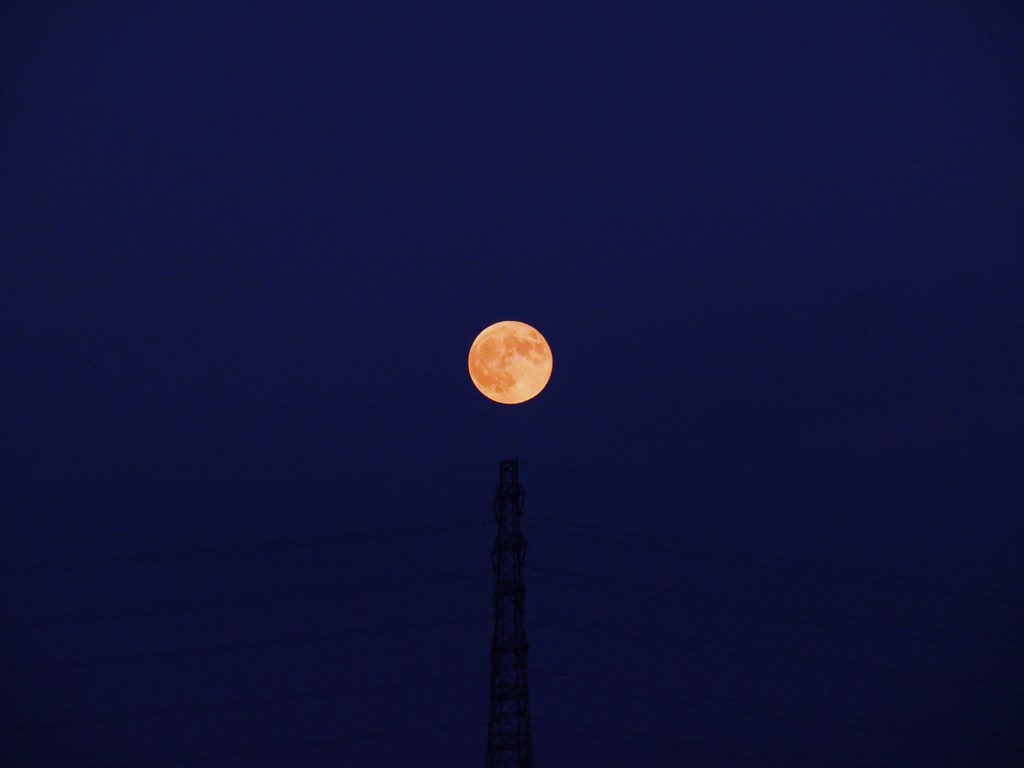 嘘の夜