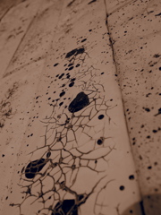 wall