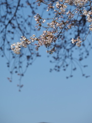 途中
