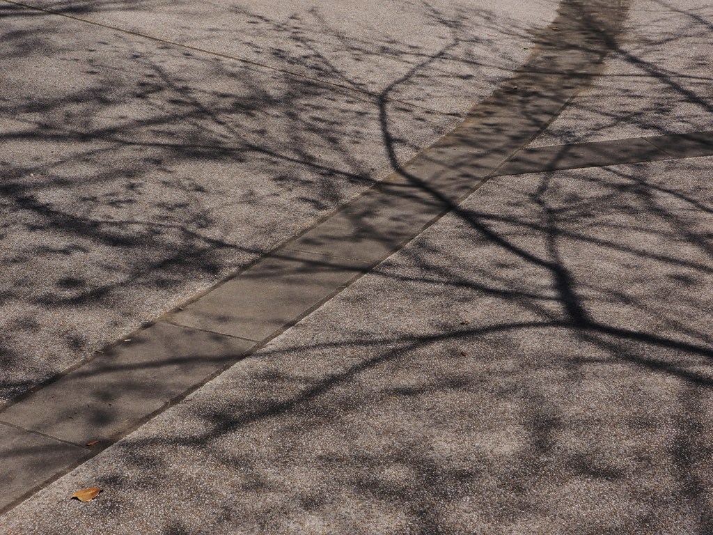 映る