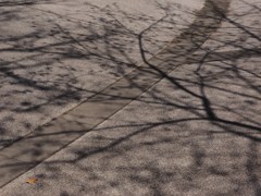 映る