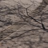 映る