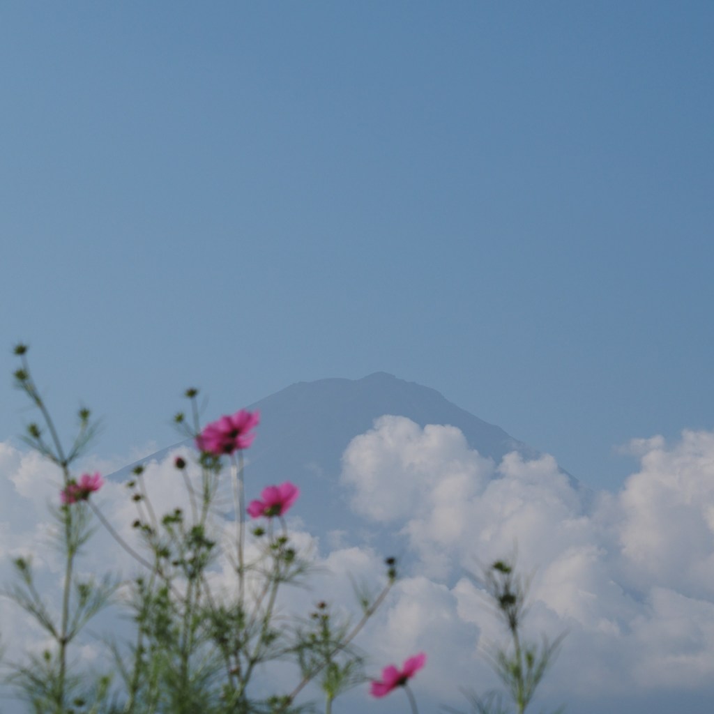 富士山、秋