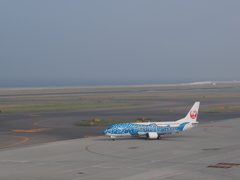 ジンベエ空を飛ぶ