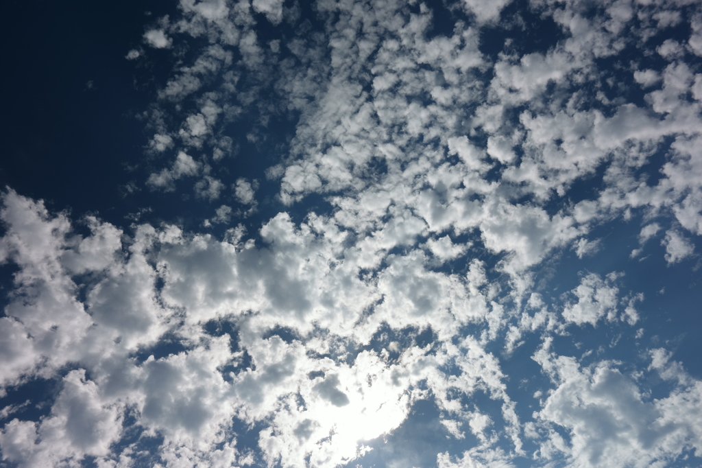 夏！