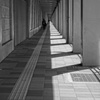 まっすぐ