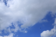 青空よ