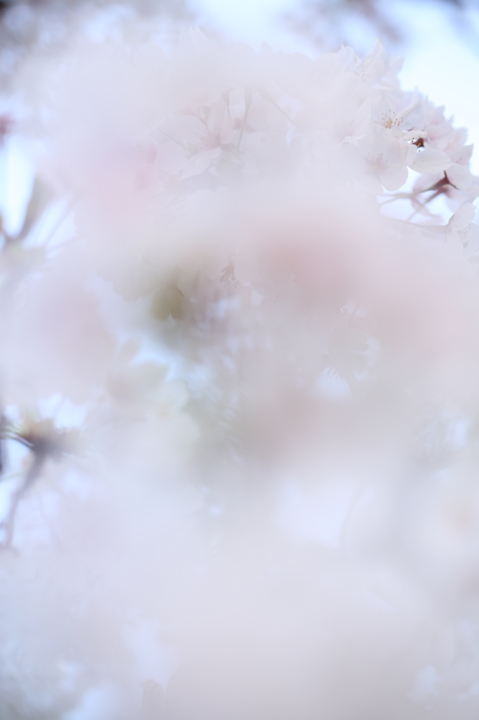恥じらい