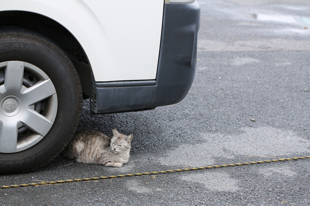 車の下で